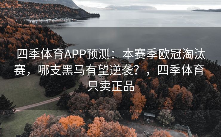 四季体育APP预测：本赛季欧冠淘汰赛，哪支黑马有望逆袭？，四季体育 只卖正品