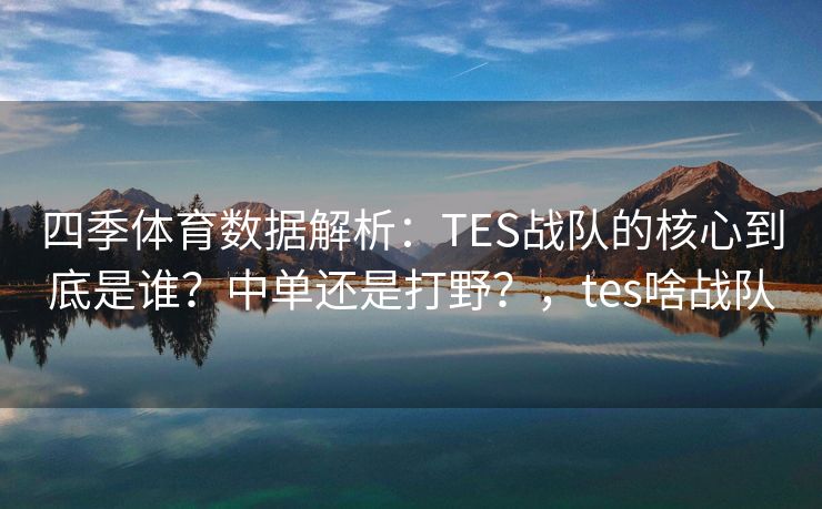 四季体育数据解析：TES战队的核心到底是谁？中单还是打野？，tes啥战队